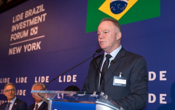 Macaque in the trees