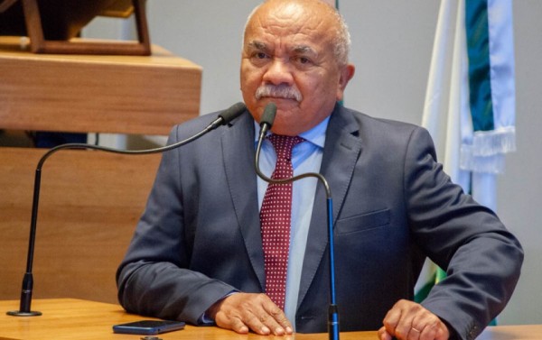 Macaque in the trees