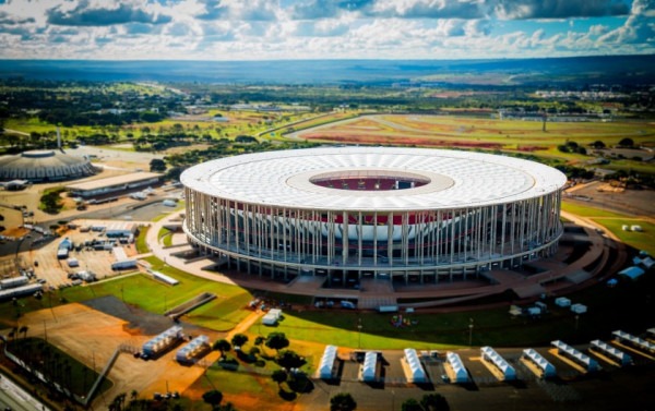 Macaque in the trees