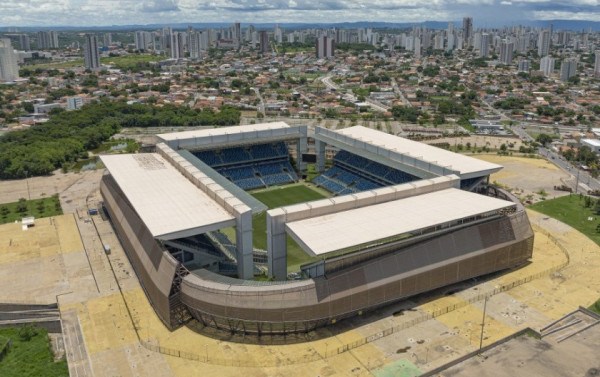 Macaque in the trees