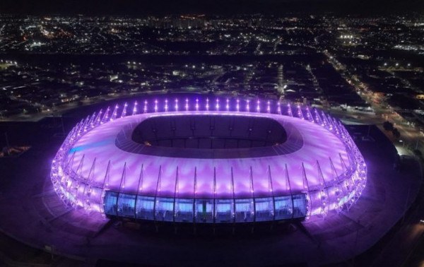 Macaque in the trees