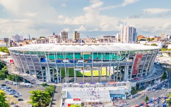 Macaque in the trees
