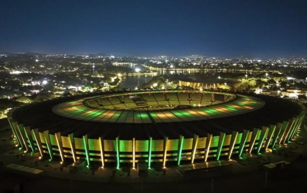 Macaque in the trees