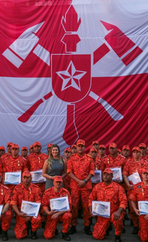 Macaque in the trees
