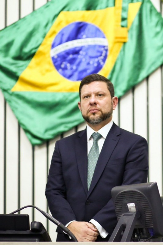 Macaque in the trees