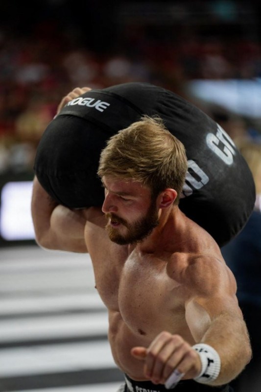 Macaque in the trees