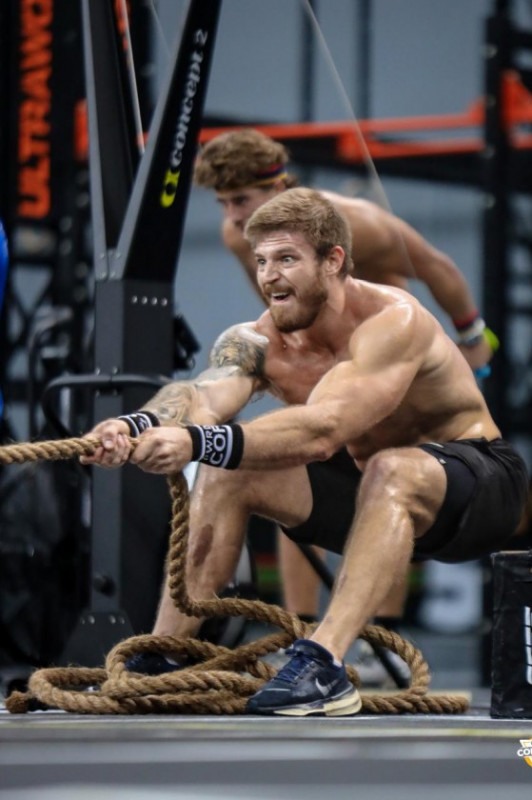 Macaque in the trees