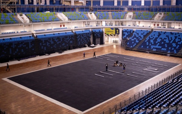 Macaque in the trees