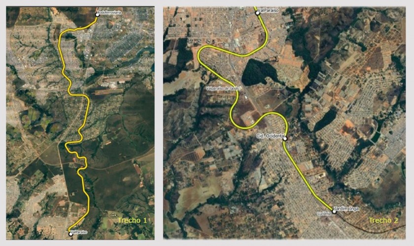 Macaque in the trees