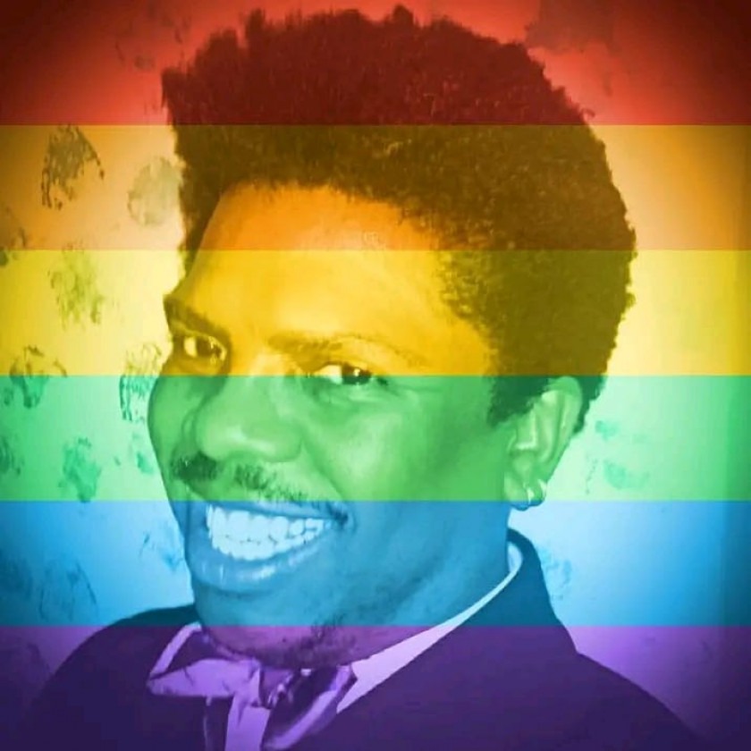 Macaque in the trees