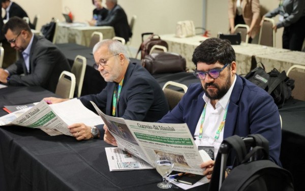 Macaque in the trees