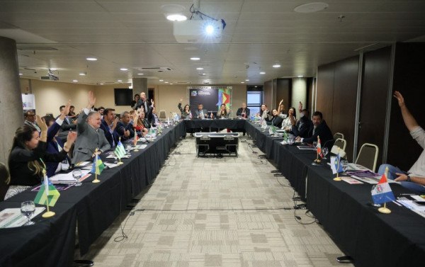 Macaque in the trees