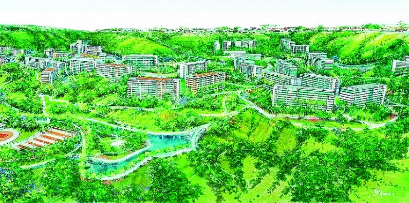 Macaque in the trees