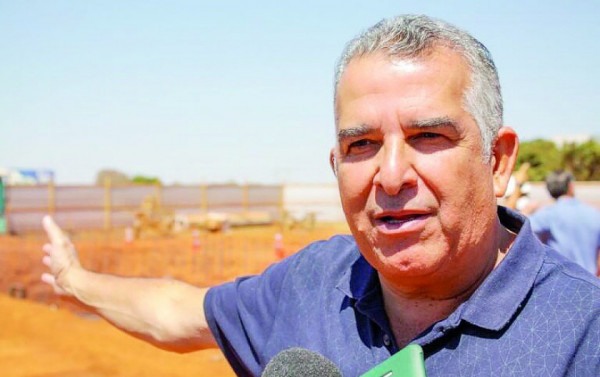 Macaque in the trees