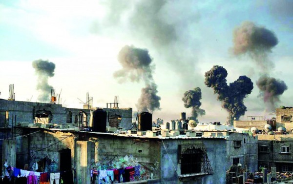 Macaque in the trees