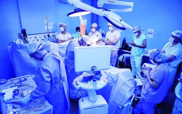 Macaque in the trees