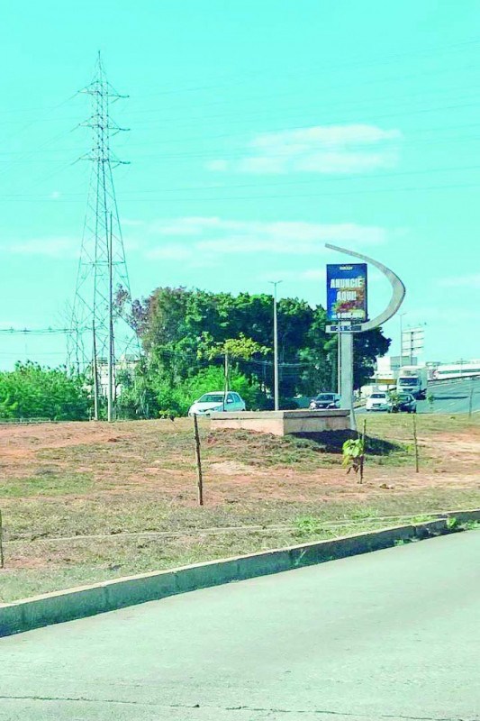 Macaque in the trees