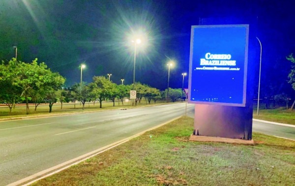 Macaque in the trees