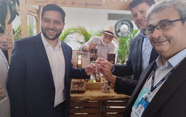 Macaque in the trees