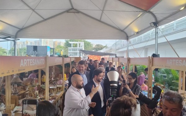 Macaque in the trees