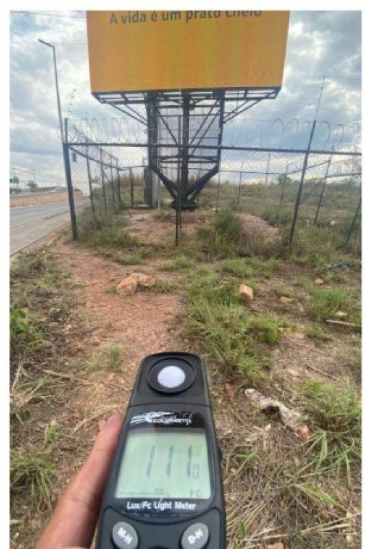 Macaque in the trees