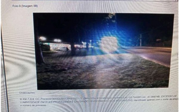 Macaque in the trees