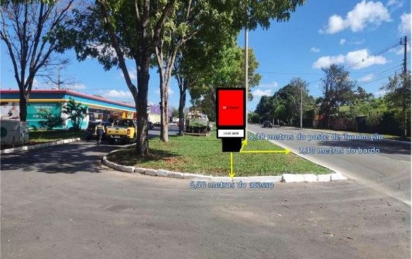 Macaque in the trees