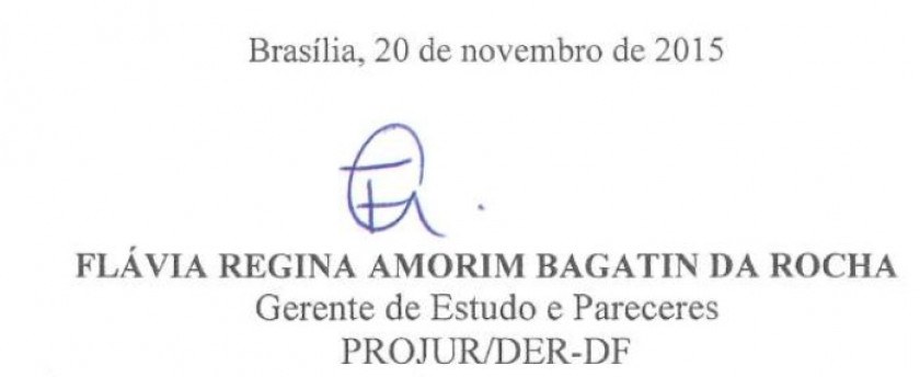 Macaque in the trees