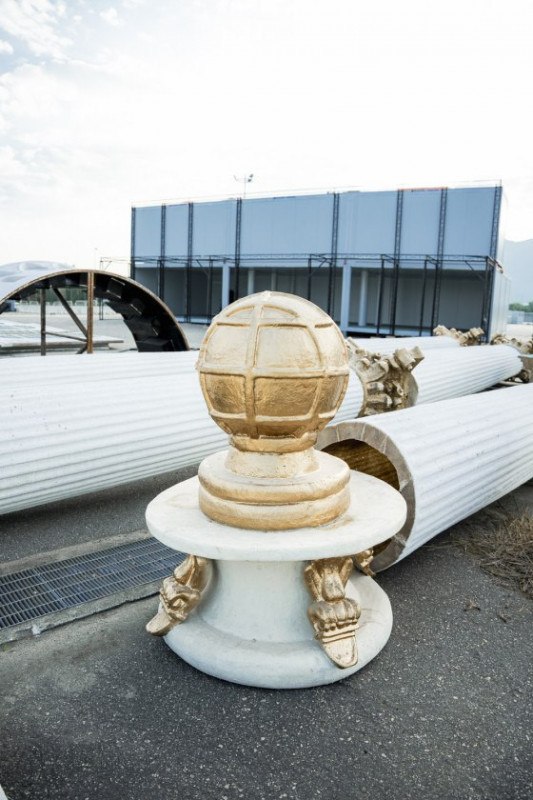 Macaque in the trees