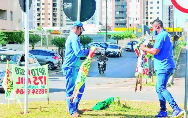 Macaque in the trees