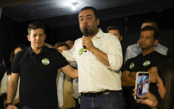 Macaque in the trees