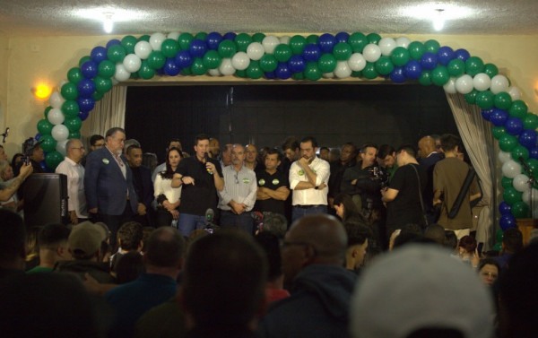 Macaque in the trees