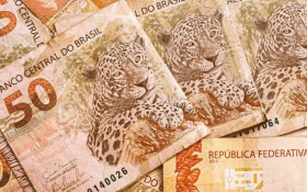 Caixa paga cotas do PIS/Pasep a trabalhadores antigos