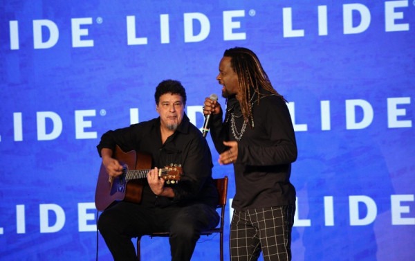 Macaque in the trees