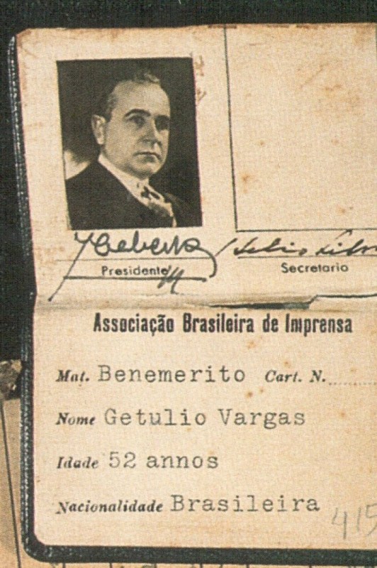 Macaque in the trees