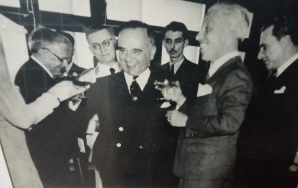 Macaque in the trees