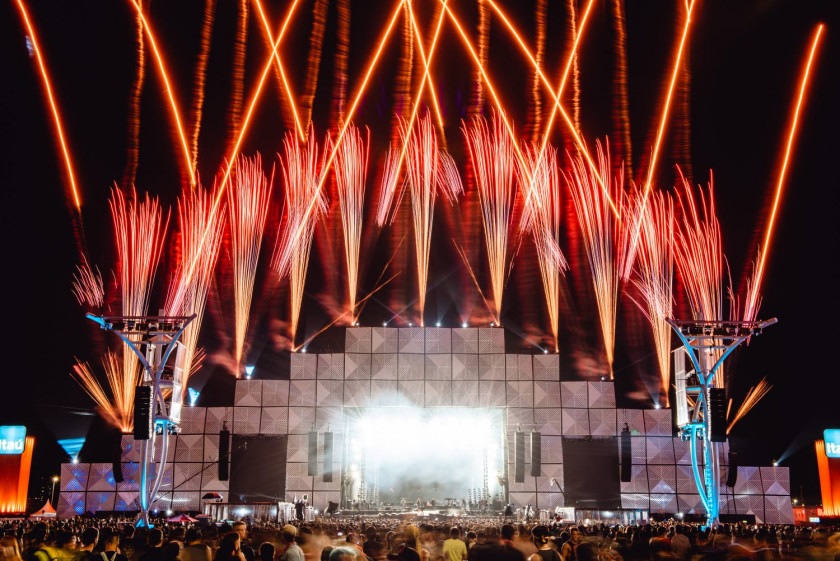 Macaque in the trees