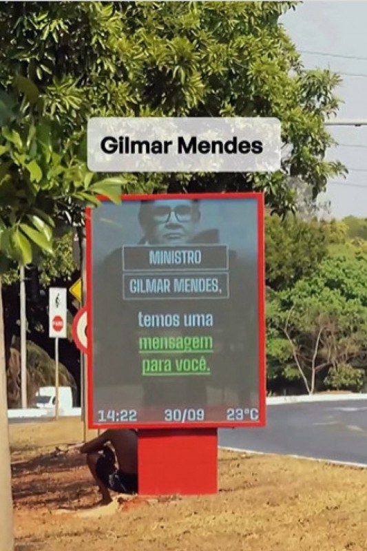 Macaque in the trees