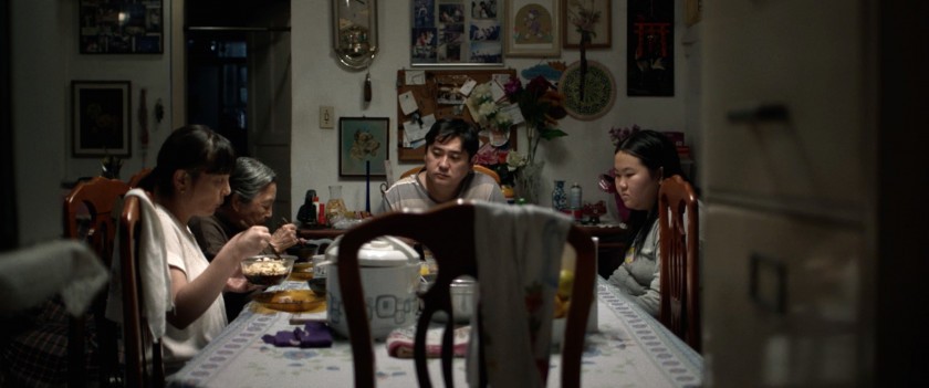 Macaque in the trees