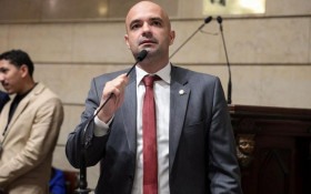 Macaque in the trees