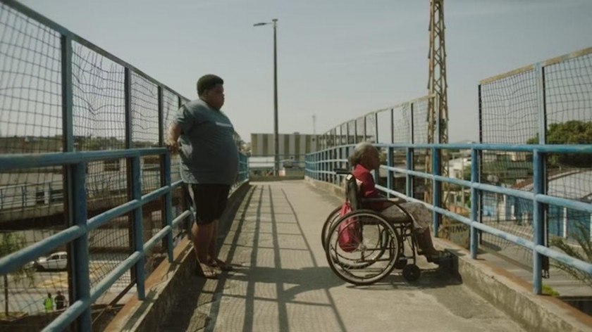 Macaque in the trees
