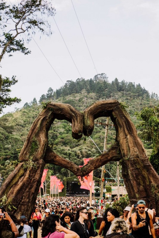 Macaque in the trees
