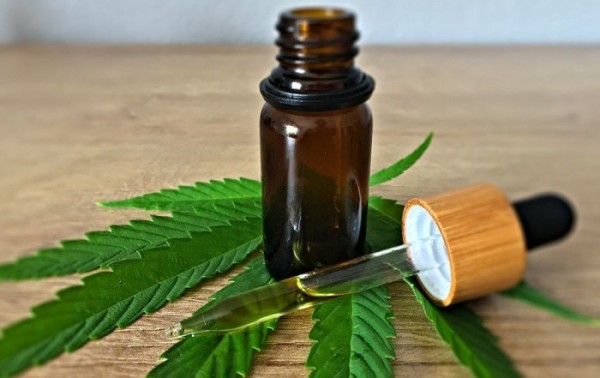 Anvisa altera regras para Cannabis medicinal e libera cultivo para exporta&ccedil;&atilde;o