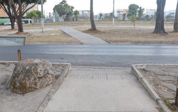 Macaque in the trees