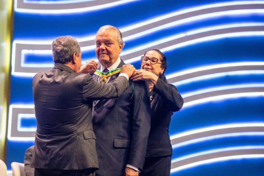 Macaque in the trees