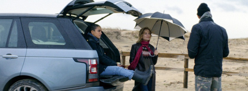 Macaque in the trees