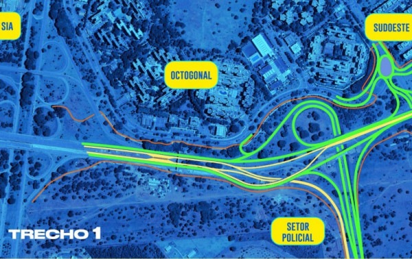 Macaque in the trees