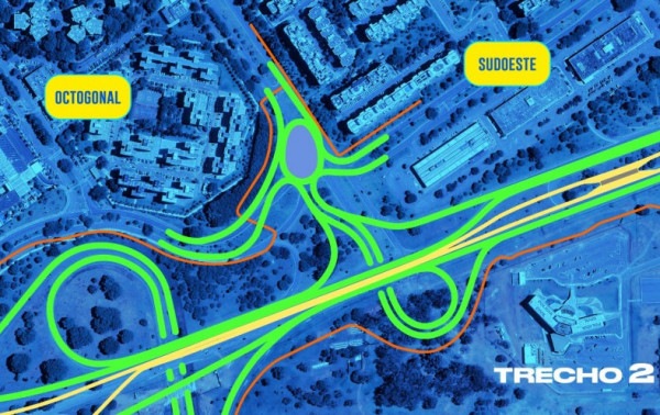 Macaque in the trees