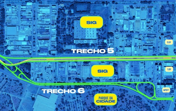 Macaque in the trees