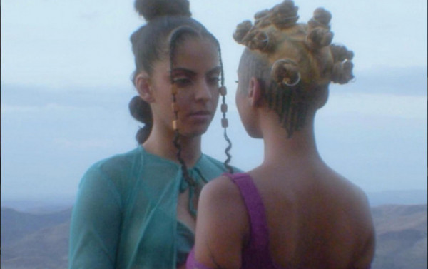 Macaque in the trees